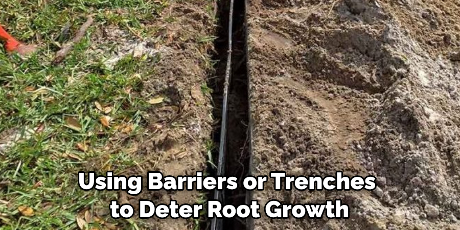 Using Barriers or Trenches to Deter Root Growth