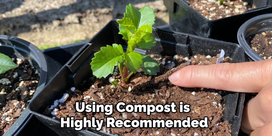 Using Compost is Highly Recommended