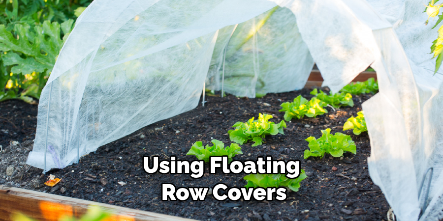 Using Floating Row Covers