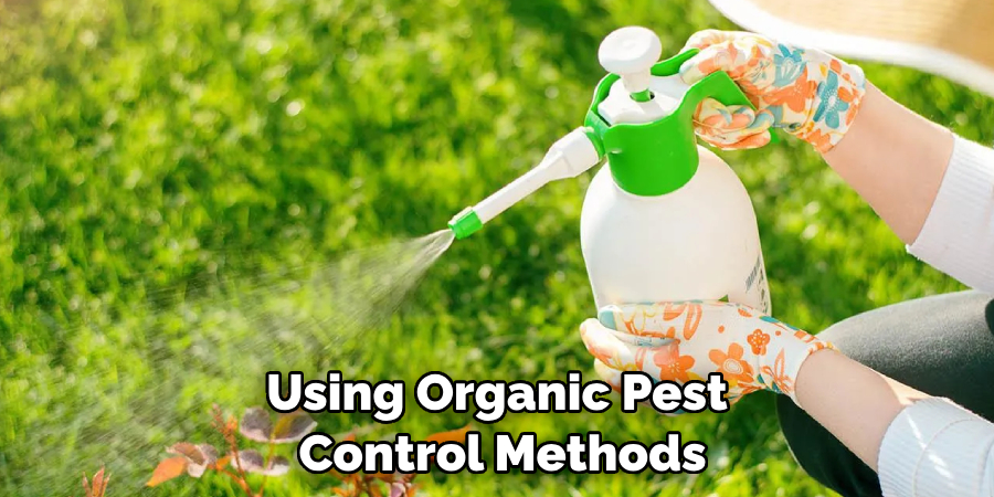 Using Organic Pest Control Methods