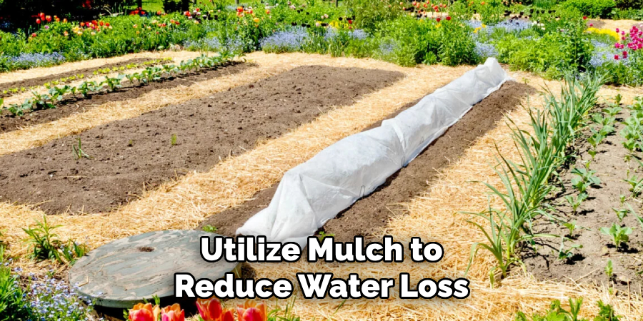 Utilize Mulch to Reduce Water Loss