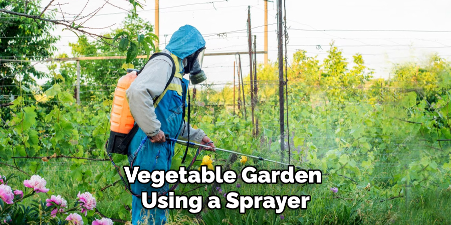 Vegetable Garden Using a Sprayer