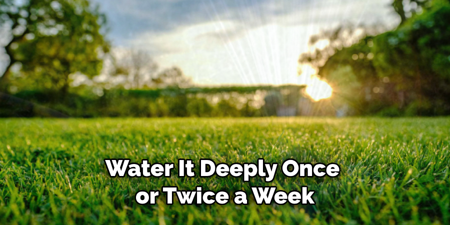 Water It Deeply Once or Twice a Week