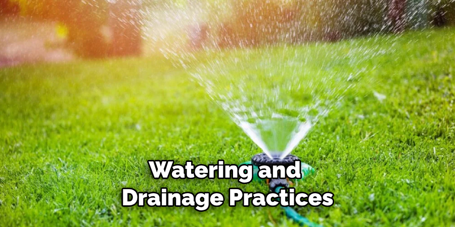 Watering and Drainage Practices