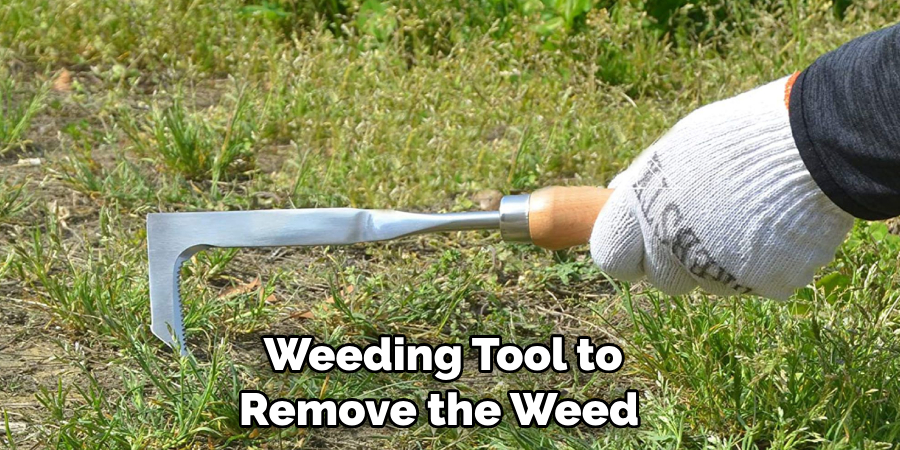  Weeding Tool to Remove the Weed 