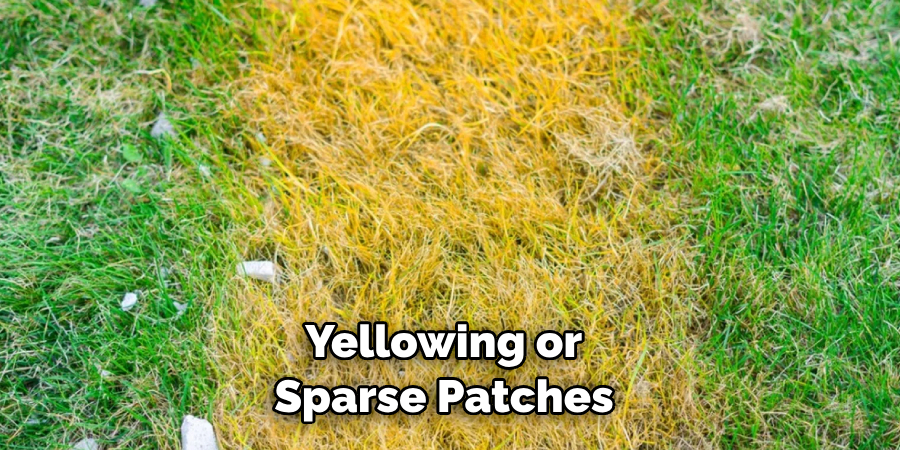  Yellowing or Sparse Patches