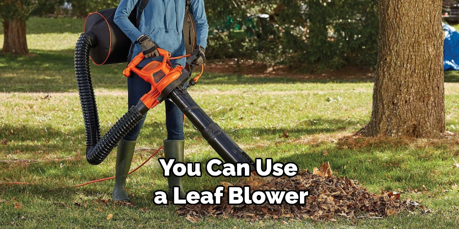 You Can Use a Leaf Blower