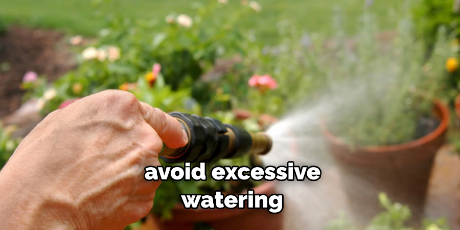 avoid excessive watering 