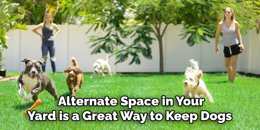 Alternate Space in Your Yard is a Great Way to Keep Dogs 