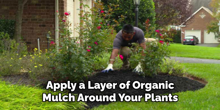 Apply a Layer of Organic Mulch Around Your Plants