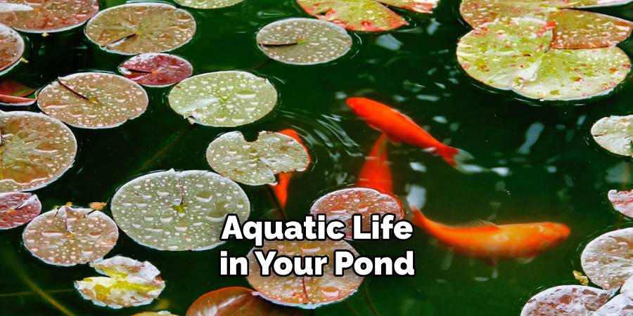 Aquatic Life in Your Pond