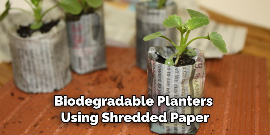 Biodegradable Planters Using Shredded Paper