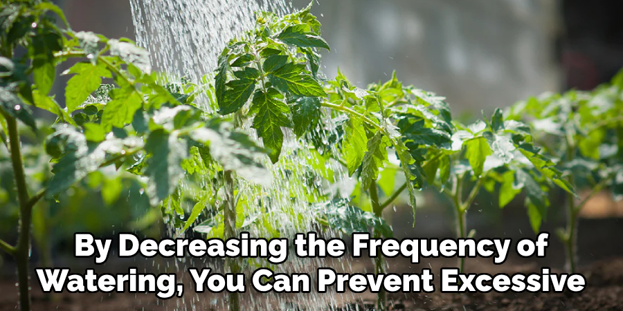 By Decreasing the Frequency of Watering, You Can Prevent Excessive