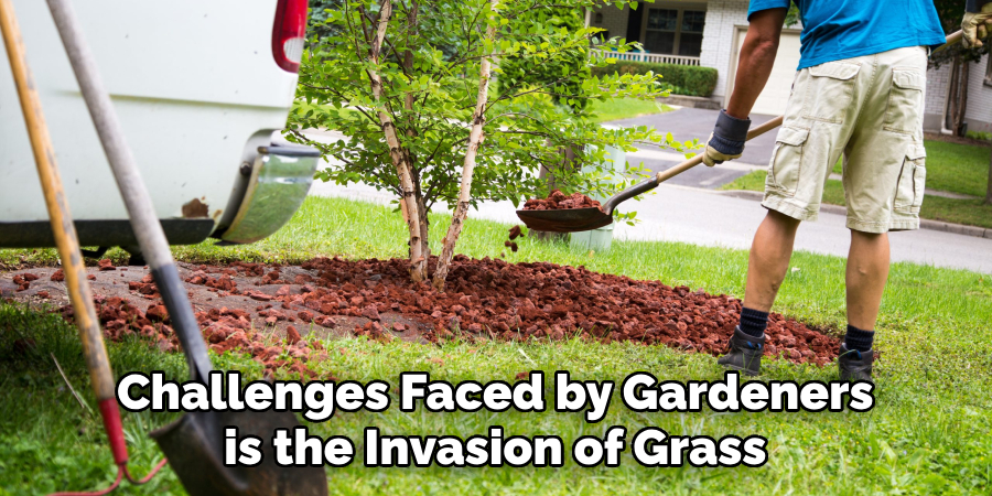 Challenges Faced by Gardeners is the Invasion of Grass
