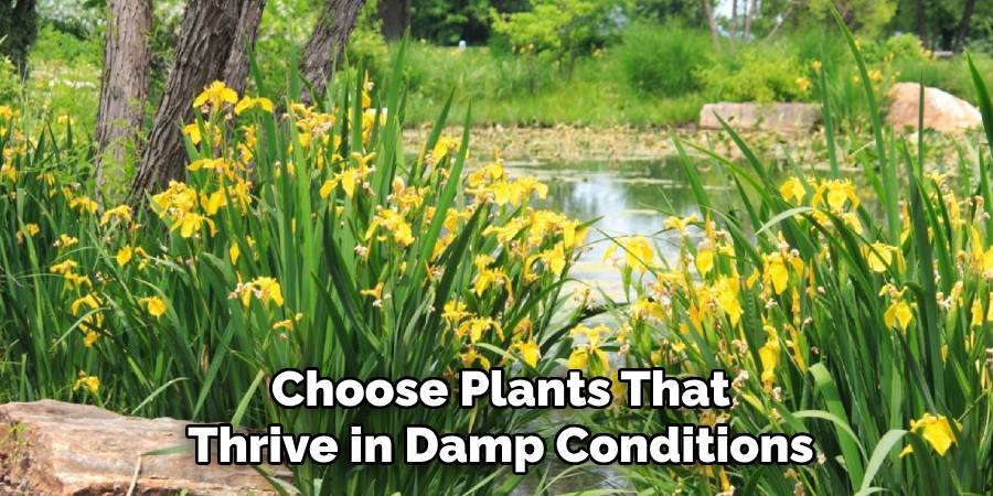 Choose Plants That Thrive in Damp Conditions