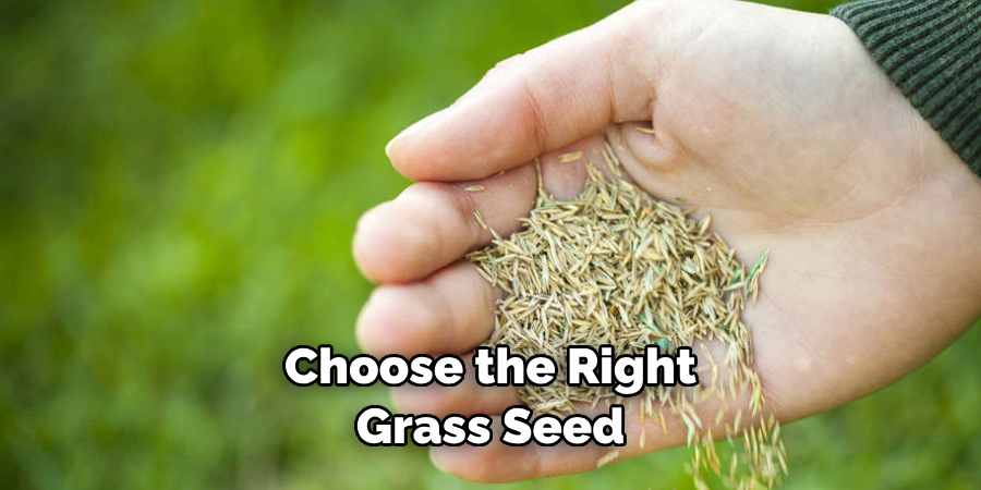 Choose the Right Grass Seed