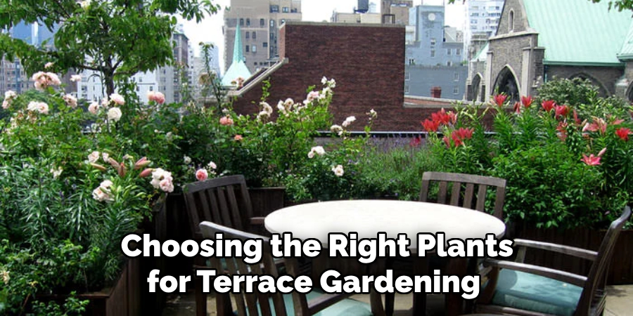 Choosing the Right Plants for Terrace Gardening 