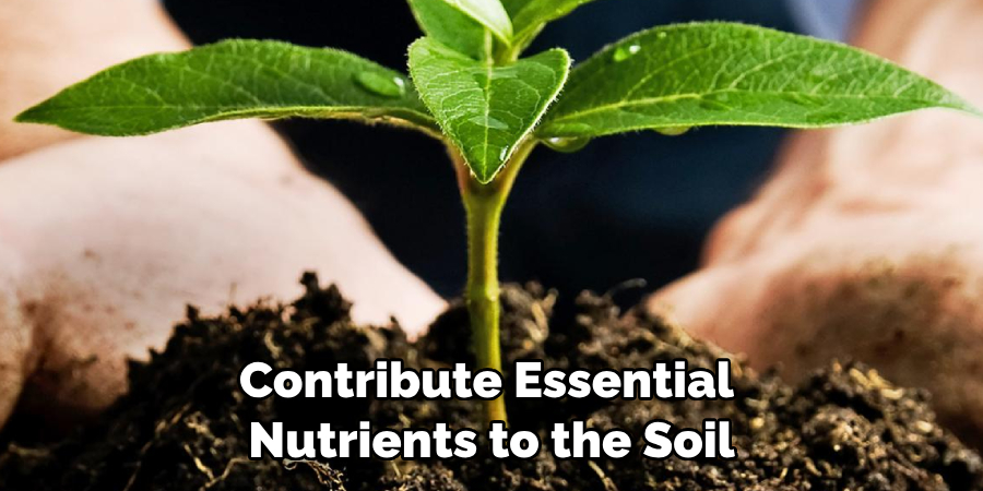 Contribute Essential Nutrients to the Soil