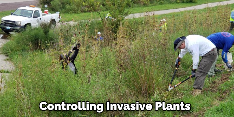 Controlling Invasive Plants