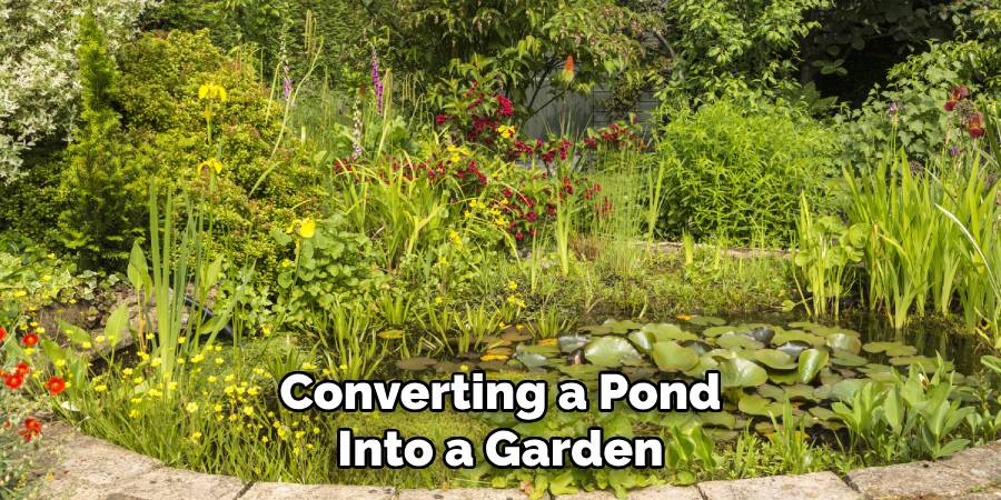 Converting a Pond Into a Garden