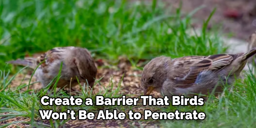 Create a Barrier That Birds Won't Be Able to Penetrate