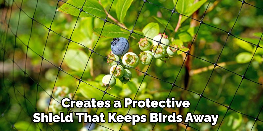 Creates a Protective Shield That Keeps Birds Away