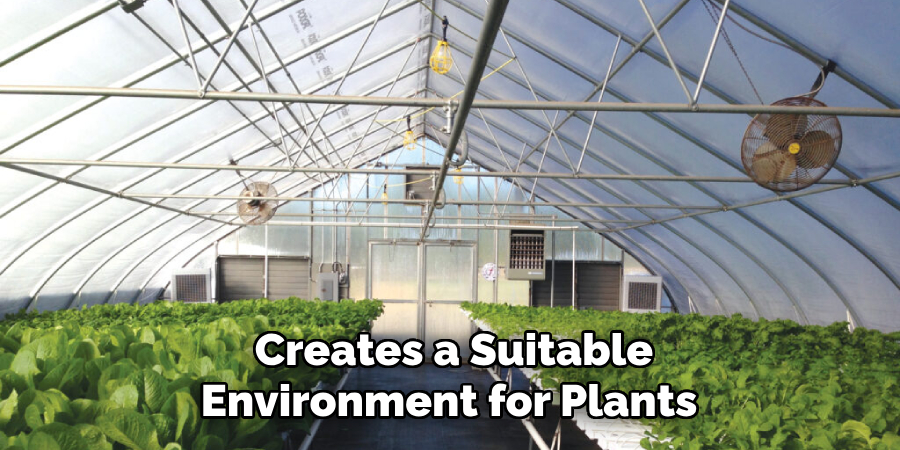 Creates a Suitable Environment for Plants 