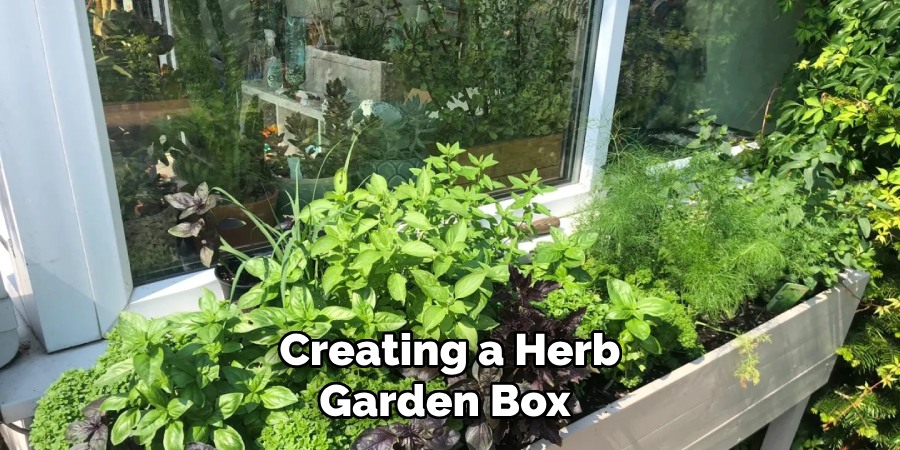 Creating a Herb Garden Box 