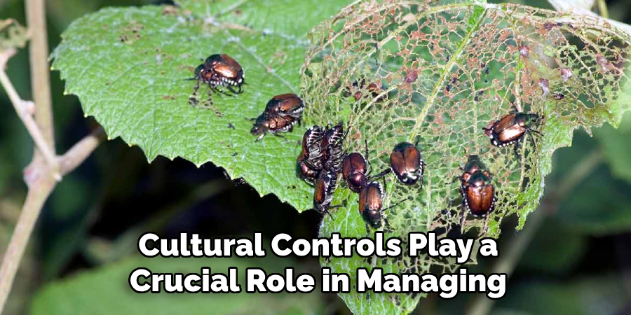 Cultural Controls Play a Crucial Role in Managing