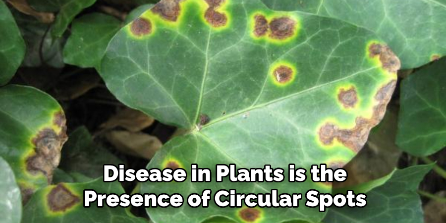 Disease in Plants is the Presence of Circular Spots