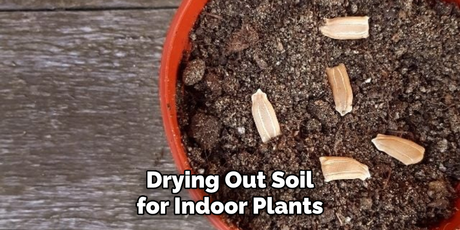 Drying Out Soil for Indoor Plants
