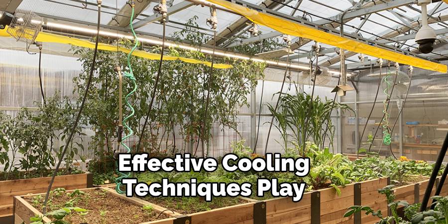 Effective Cooling Techniques Play