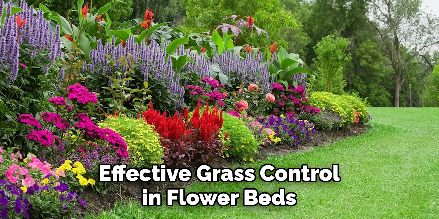 Effective Grass Control in Flower Beds