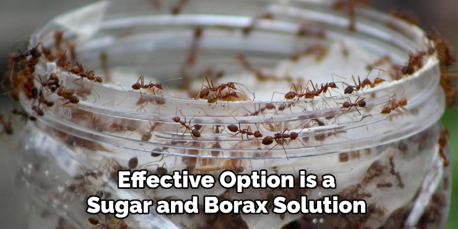 Effective Option is a 
Sugar and Borax Solution 