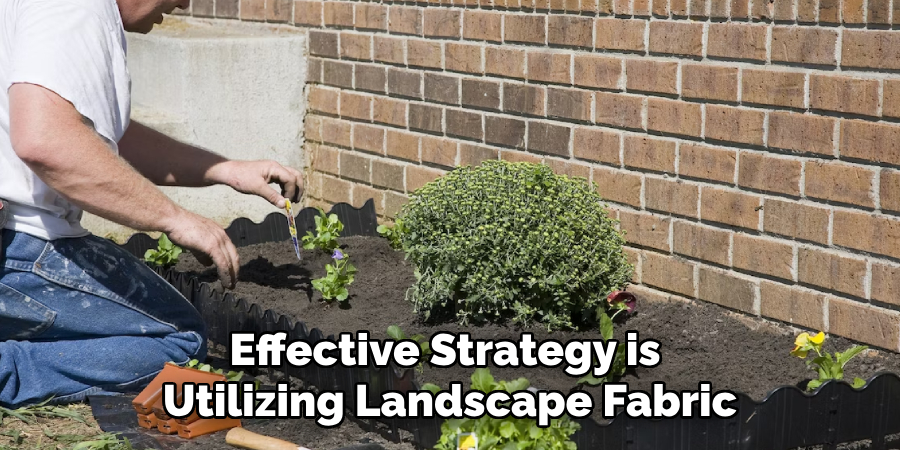 Effective Strategy is Utilizing Landscape Fabric