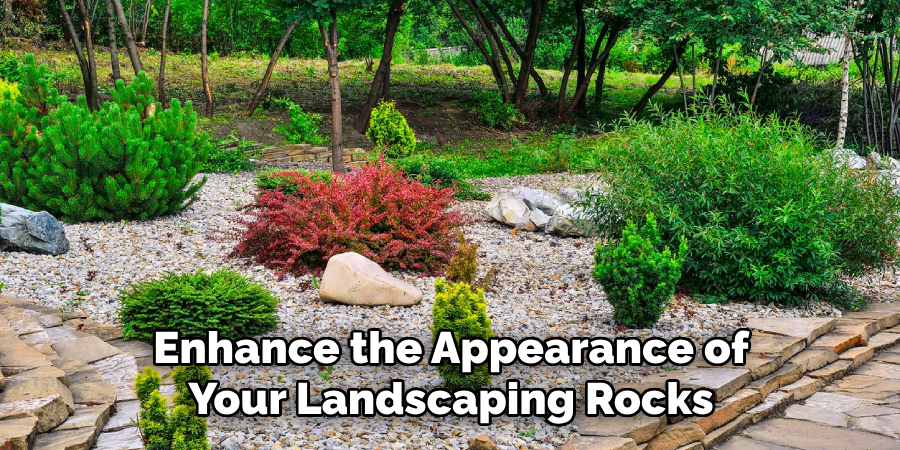 Enhance the Appearance of Your Landscaping Rocks