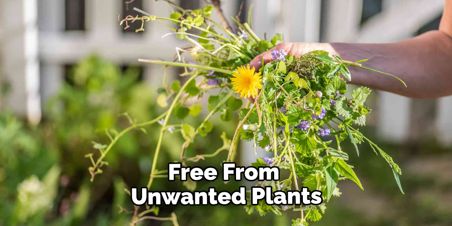 Free From Unwanted Plants