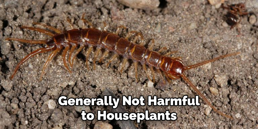 Generally Not Harmful to Houseplants