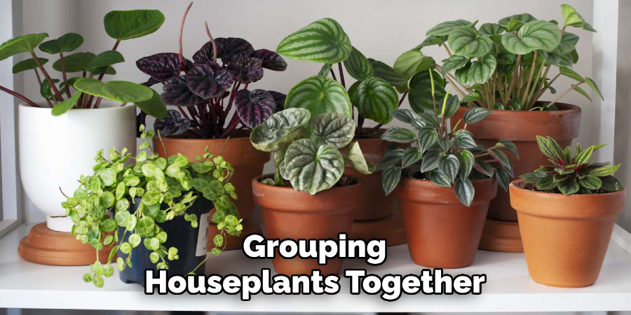Grouping Houseplants Together