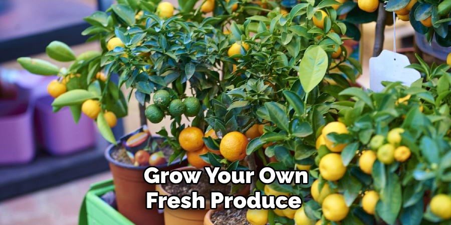  Grow Your Own Fresh Produce
