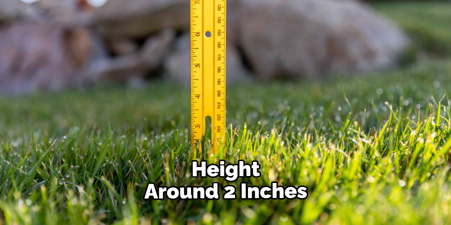  Height of Around 2 Inches