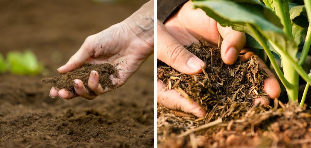 How to Improve Soil Fertility