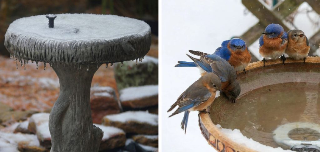 How to Keep Bird Bath from Freezing