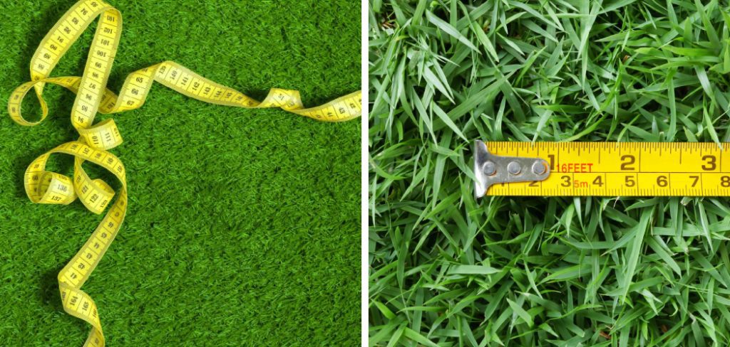 How to Measure Your Lawn for Fertilizer