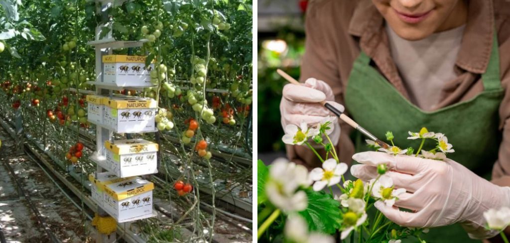 How to Pollinate in a Greenhouse