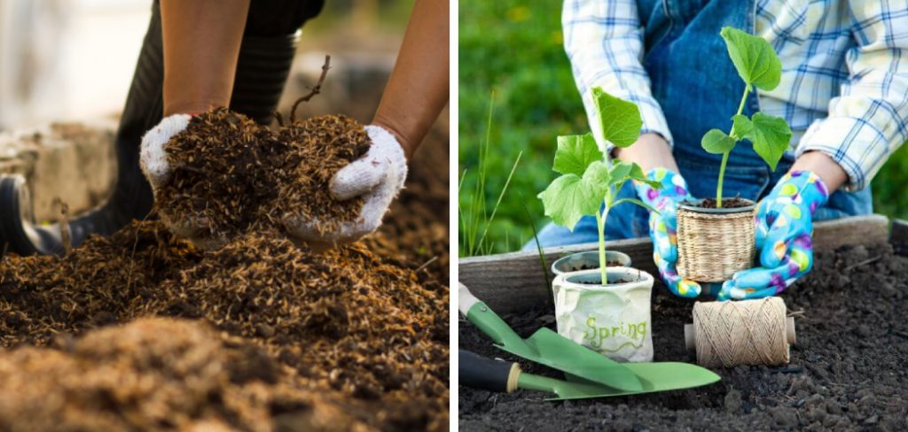 How to Prep Garden Soil for Spring