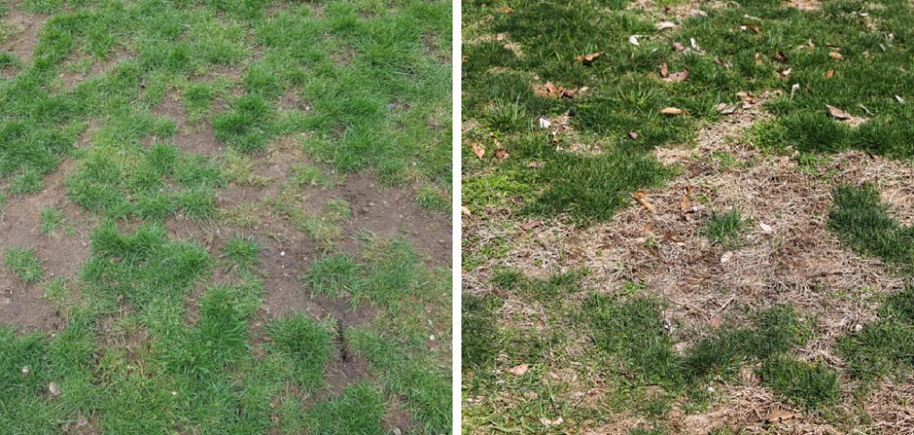 How to Reduce Soil Compaction in Lawns