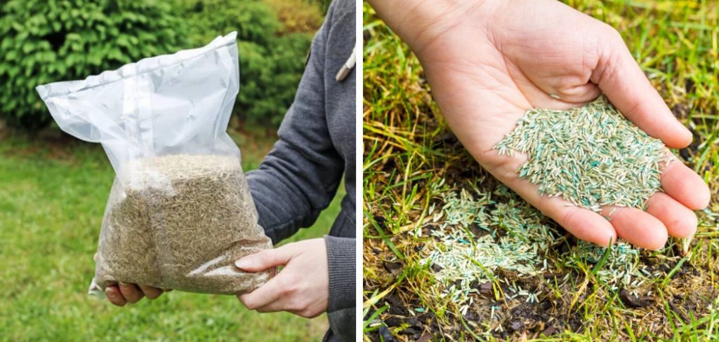 How to Store Grass Seed Over Winter