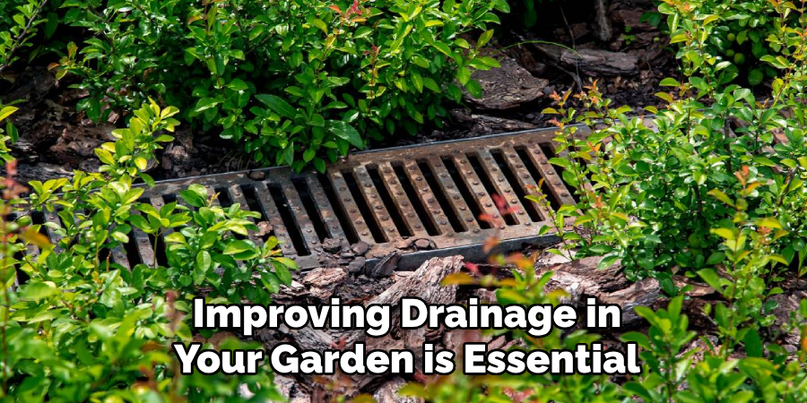 Improving Drainage in Your Garden is Essential