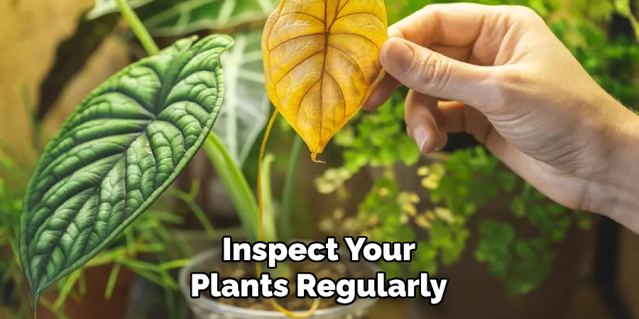 Inspect Your Plants Regularly